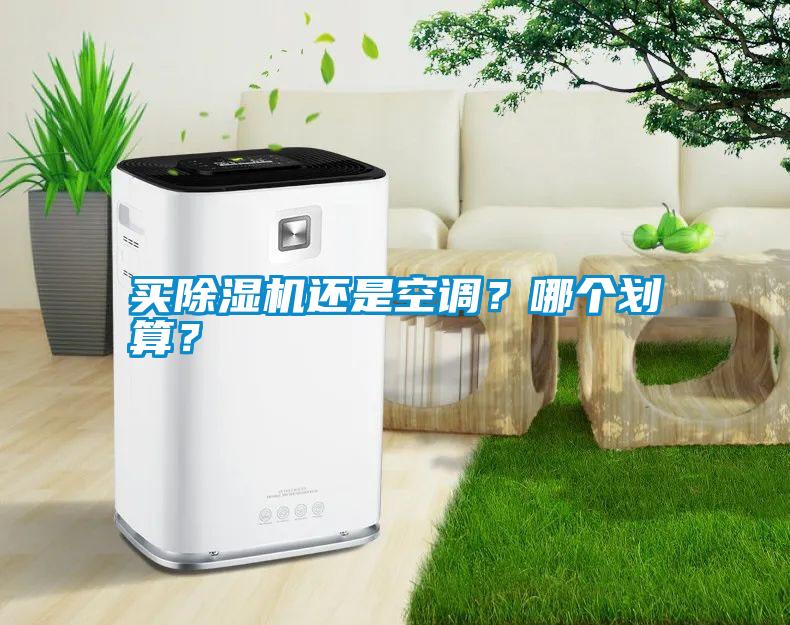 买香蕉视频国产APP下载机还是空调？哪个划算？