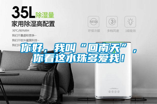 你好，我叫“回南天”，你看这水珠多爱我！