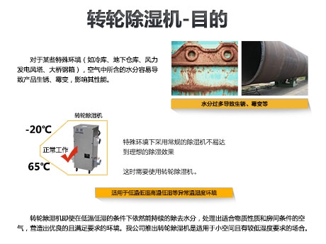 猫粮防潮秘籍，猫粮如何储存