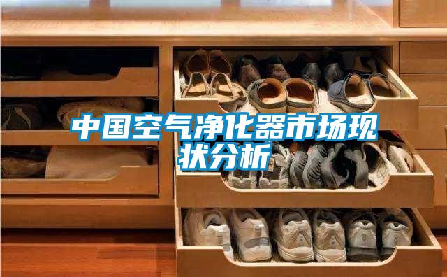中国空气净化器市场现状分析