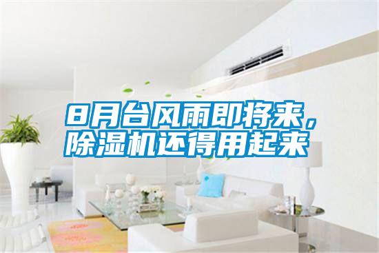 8月台风雨即将来，香蕉视频国产APP下载机还得用起来