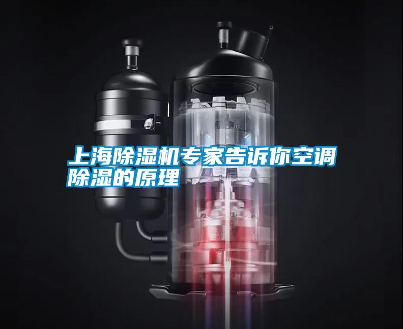 上海香蕉视频国产APP下载机专家告诉你空调香蕉视频国产APP下载的原理