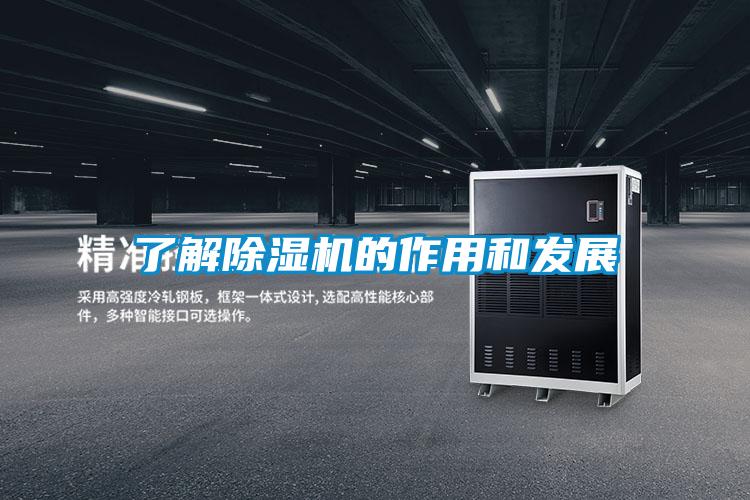 了解香蕉视频国产APP下载机的作用和发展