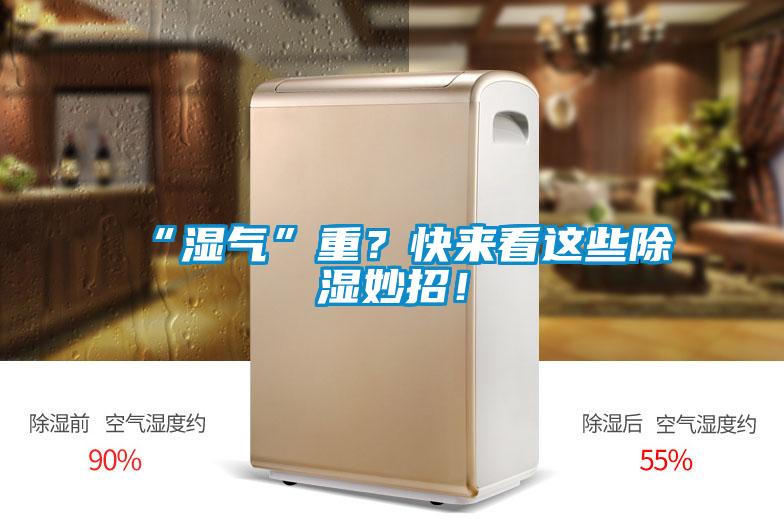 “湿气”重？快来看这些香蕉视频国产APP下载妙招！