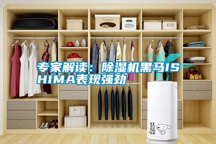 专家解读：香蕉视频国产APP下载机黑马ISHIMA表现强劲