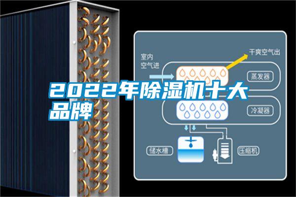 2022年香蕉视频国产APP下载机十大品牌