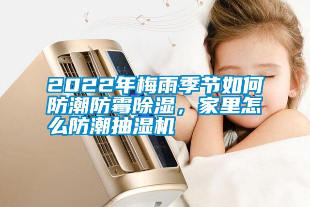 2022年梅雨季节如何防潮防霉香蕉视频国产APP下载，家里怎么防潮抽湿机