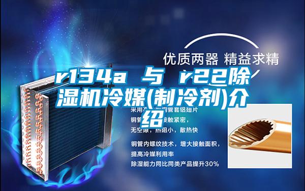 r134a 与 r22香蕉视频国产APP下载机冷媒(制冷剂)介绍
