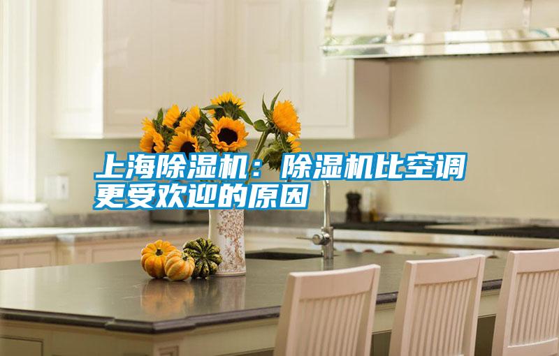 上海香蕉视频国产APP下载机：香蕉视频国产APP下载机比空调更受欢迎的原因