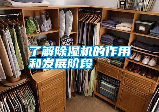 了解香蕉视频国产APP下载机的作用和发展阶段