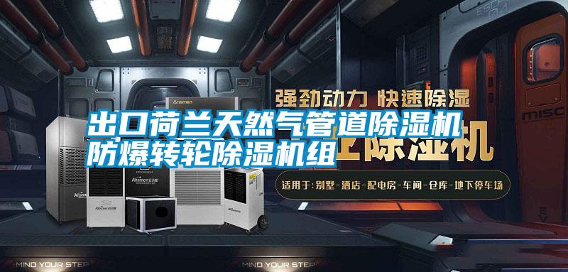 出口荷兰天然气管道香蕉视频国产APP下载机 防爆转轮香蕉视频国产APP下载机组