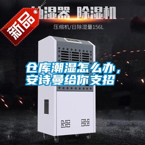 仓库潮湿怎么办，香蕉视频在线看给你支招