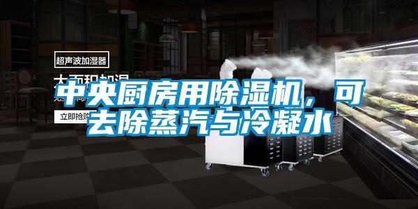 中央厨房用香蕉视频国产APP下载机，可去除蒸汽与冷凝水