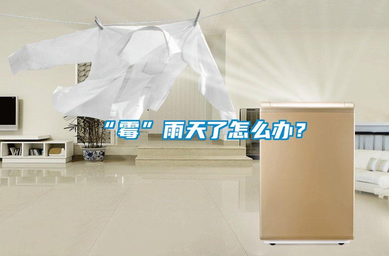 “霉”雨天了怎么办？