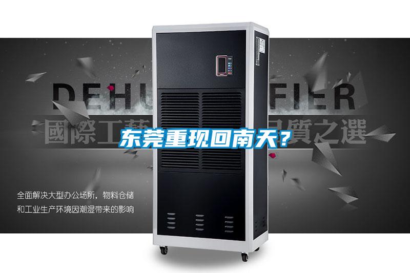 东莞重现回南天？