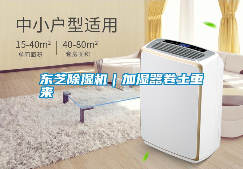 东芝香蕉视频国产APP下载机｜加湿器卷土重来