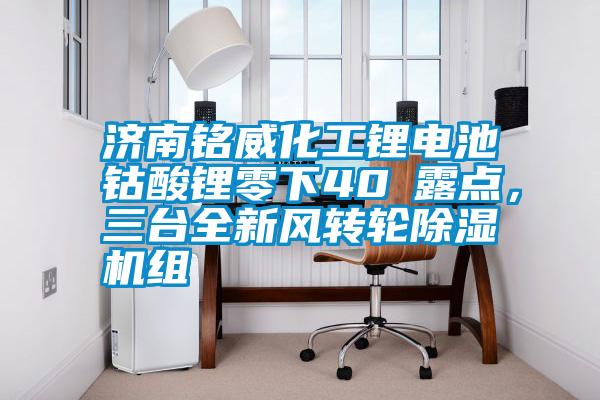 济南铭威化工锂电池钴酸锂零下40℃露点，三台全新风转轮香蕉视频国产APP下载机组