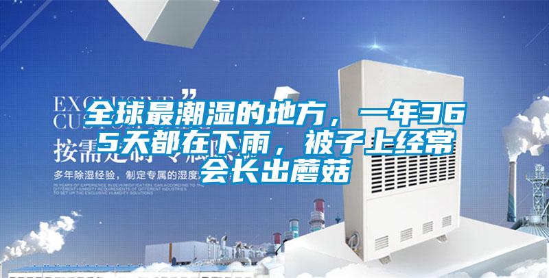 全球最潮湿的地方，一年365天都在下雨，被子上经常会长出蘑菇
