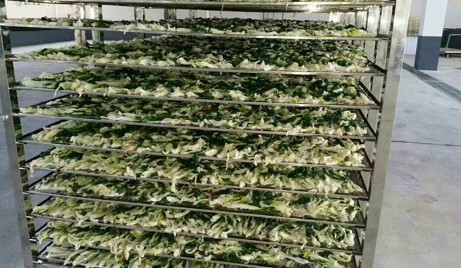 菜干需求一直都很大，蔬菜烘干机很有市场