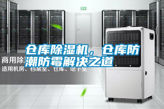 仓库香蕉视频国产APP下载机，仓库防潮防霉解决之道