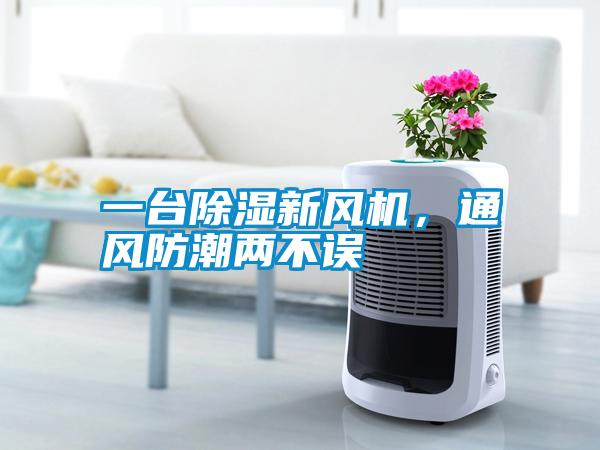一台香蕉视频国产APP下载新风机，通风防潮两不误