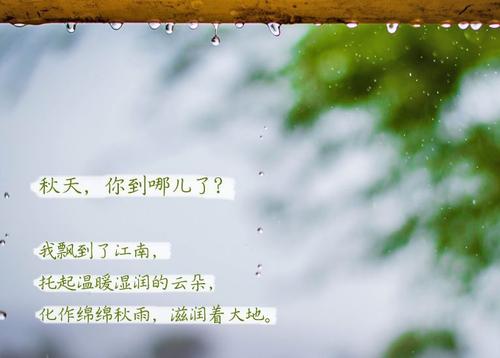 “无晴”阴雨天 “有晴”香蕉视频国产APP下载机