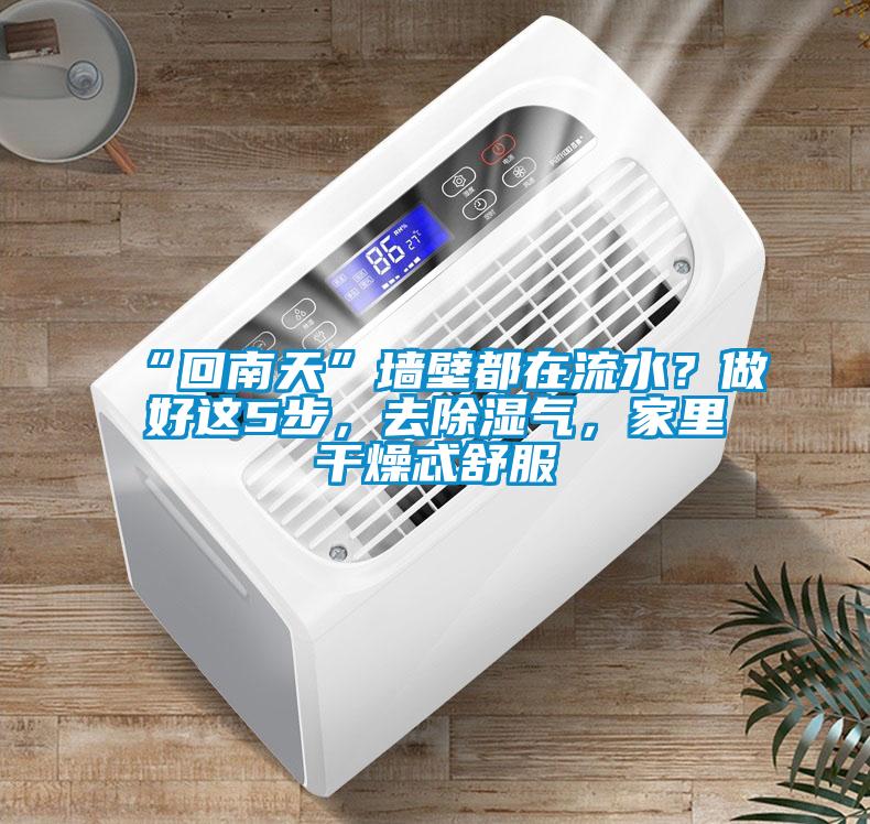 “回南天”墙壁都在流水？做好这5步，去香蕉视频国产APP下载气，家里干燥忒舒服