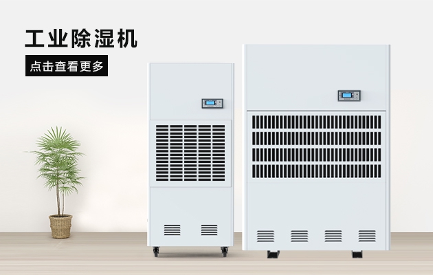 烘干芒果，芒果干更省心