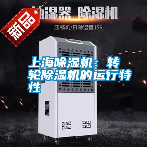 上海香蕉视频国产APP下载机：转轮香蕉视频国产APP下载机的运行特性