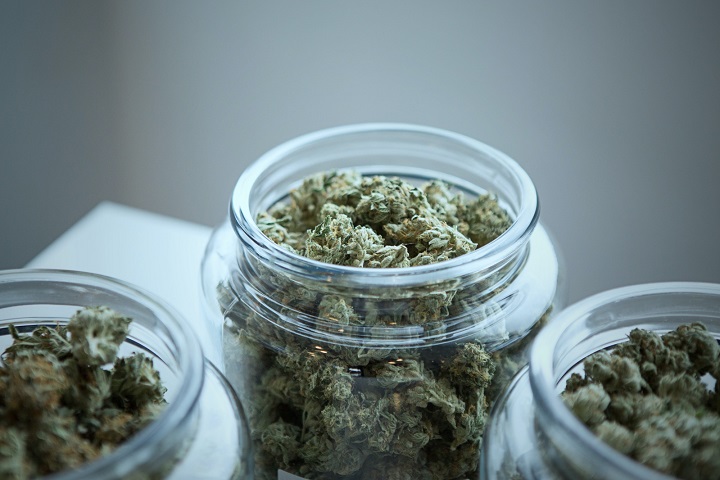 如何让中草药烘干过程“药性”不流失？