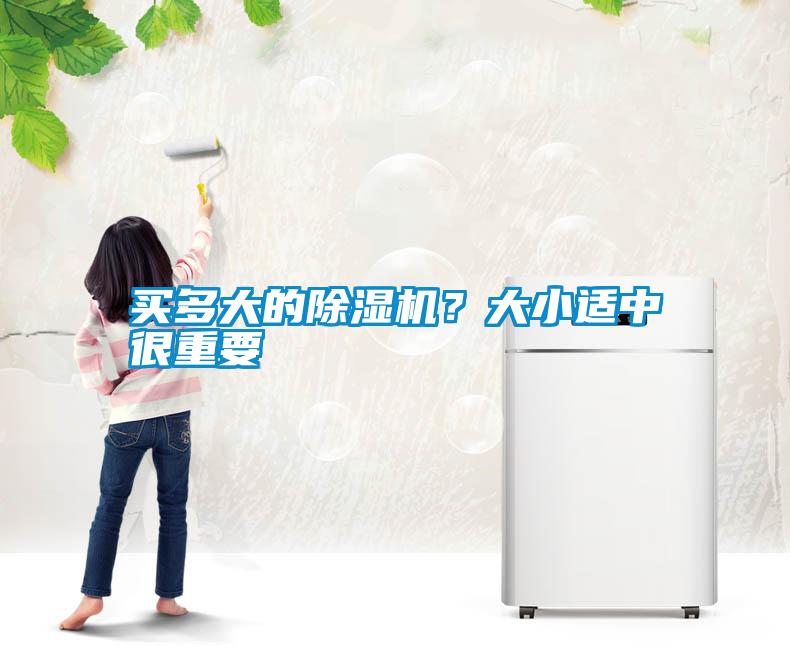 买多大的香蕉视频国产APP下载机？大小适中很重要