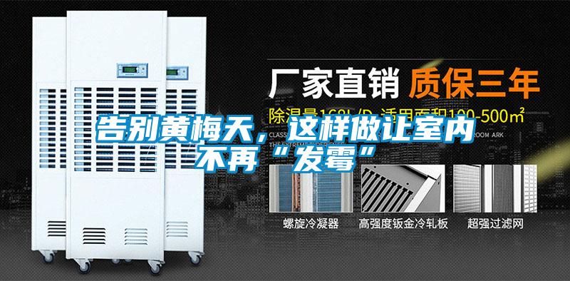 告别黄梅天，这样做让室内不再“发霉”