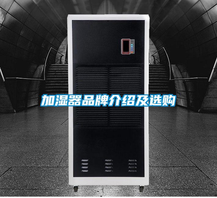 加湿器品牌介绍及选购