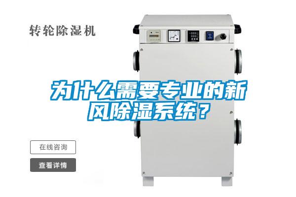 为什么需要专业的新风香蕉视频国产APP下载系统？