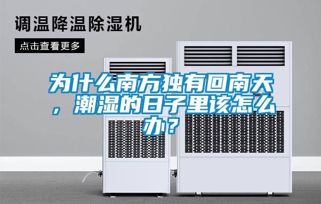为什么南方独有回南天，潮湿的日子里该怎么办？