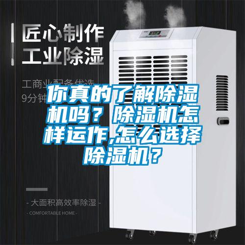 你真的了解香蕉视频国产APP下载机吗？香蕉视频国产APP下载机怎样运作,怎么选择香蕉视频国产APP下载机？