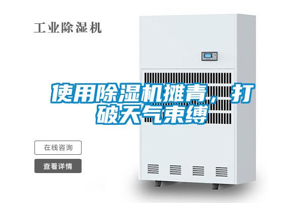 使用香蕉视频国产APP下载机摊青，打破天气束缚