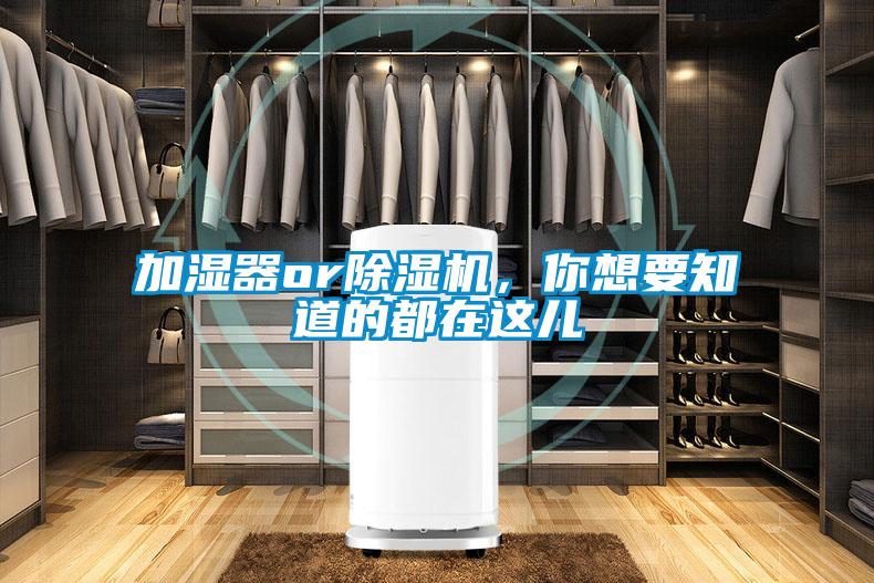 加湿器or香蕉视频国产APP下载机，你想要知道的都在这儿