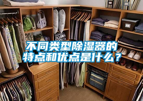 不同类型香蕉视频国产APP下载器的特点和优点是什么？