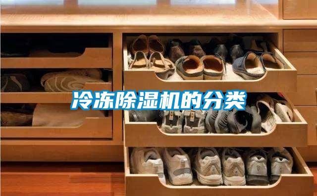 冷冻香蕉视频国产APP下载机的分类
