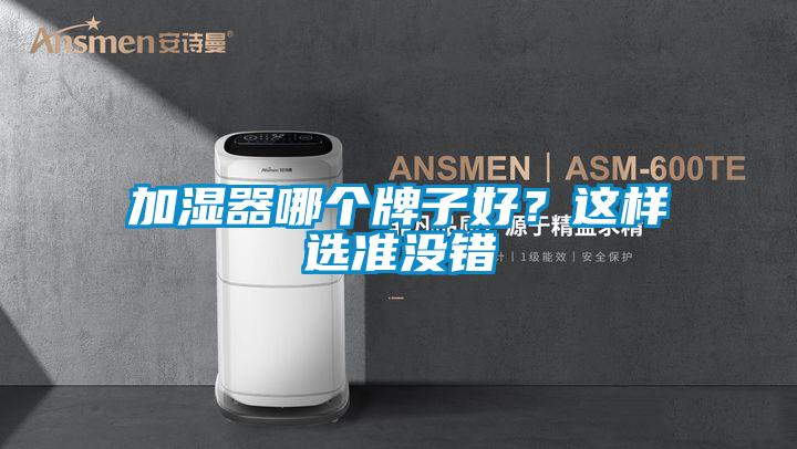 加湿器哪个牌子好？这样选准没错