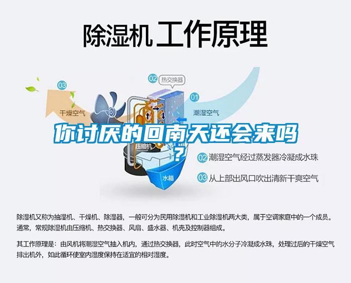 你讨厌的回南天还会来吗？