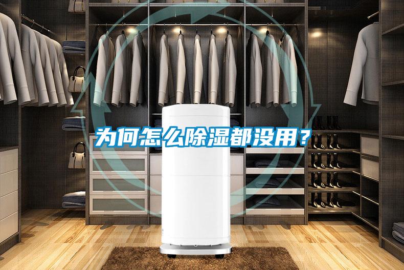 为何怎么香蕉视频国产APP下载都没用？