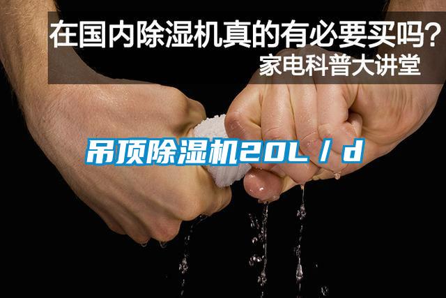 吊顶香蕉视频国产APP下载机20L／d