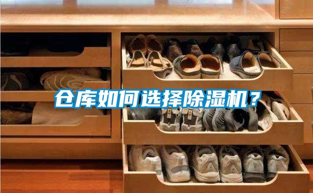 仓库如何选择香蕉视频国产APP下载机？