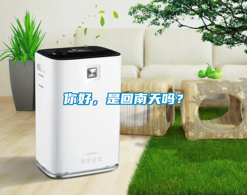 你好，是回南天吗？