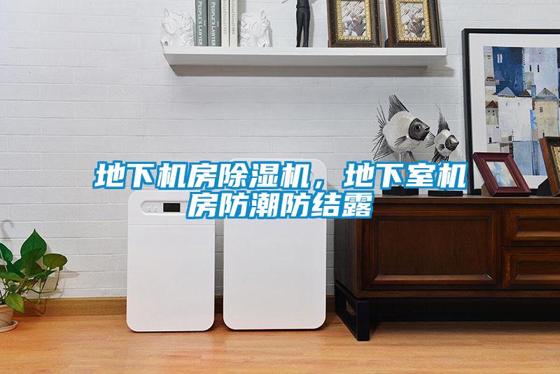 地下机房香蕉视频国产APP下载机，地下室机房防潮防结露