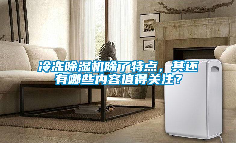 冷冻香蕉视频国产APP下载机除了特点，其还有哪些内容值得关注？