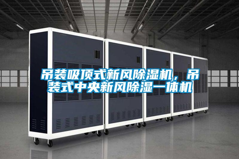 吊装吸顶式新风香蕉视频国产APP下载机，吊装式中央新风香蕉视频国产APP下载一体机