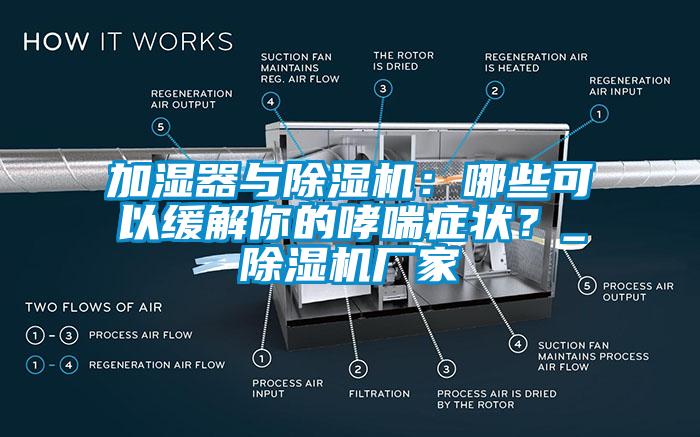 加湿器与香蕉视频国产APP下载机：哪些可以缓解你的哮喘症状？_香蕉视频国产APP下载机厂家